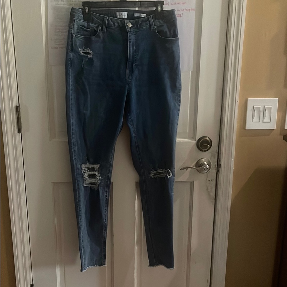 True Craft Distressed Blue Skinny Jeans